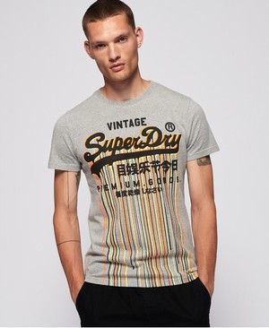 Superdry Premium Goods Stainer Férfi Pólók Szürke | YDJZS5384